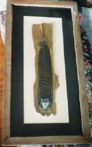 scan0003.jpg